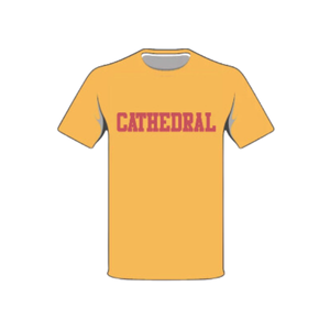 Adult Cathedral T-Shirt